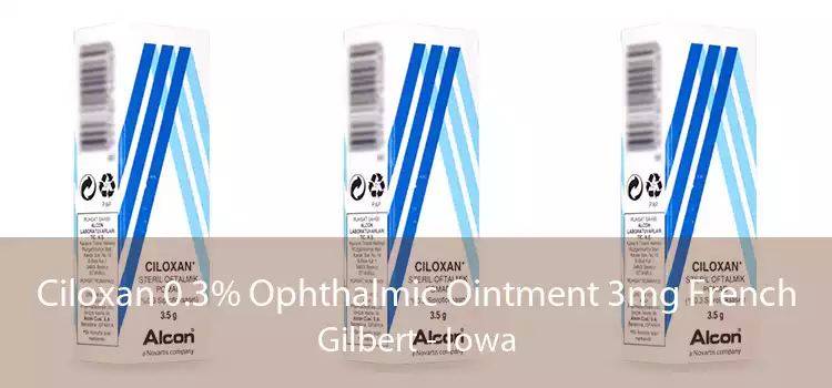 Ciloxan 0.3% Ophthalmic Ointment 3mg French Gilbert - Iowa